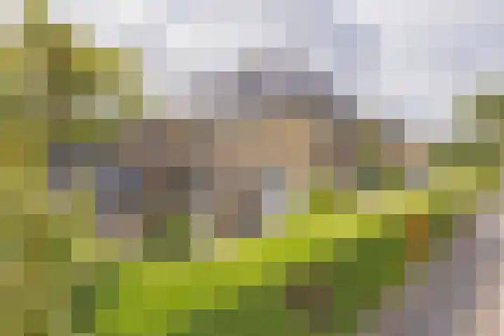 Stationsweg 91 Velsen-Zuid thumbnail 25