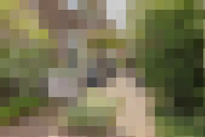 Stationsweg 91 Velsen-Zuid thumbnail 27