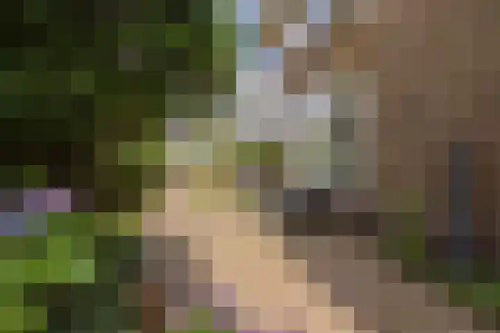 Stationsweg 91 Velsen-Zuid thumbnail 28