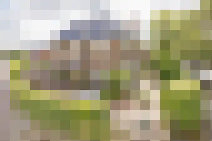 Stationsweg 91 Velsen-Zuid thumbnail 59