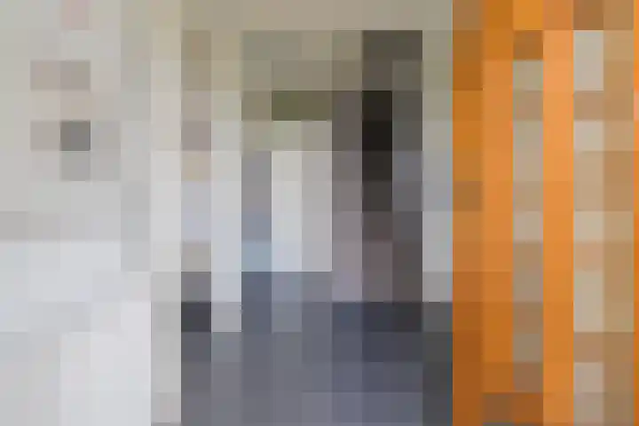 Stationsweg 91 Velsen-Zuid thumbnail 7