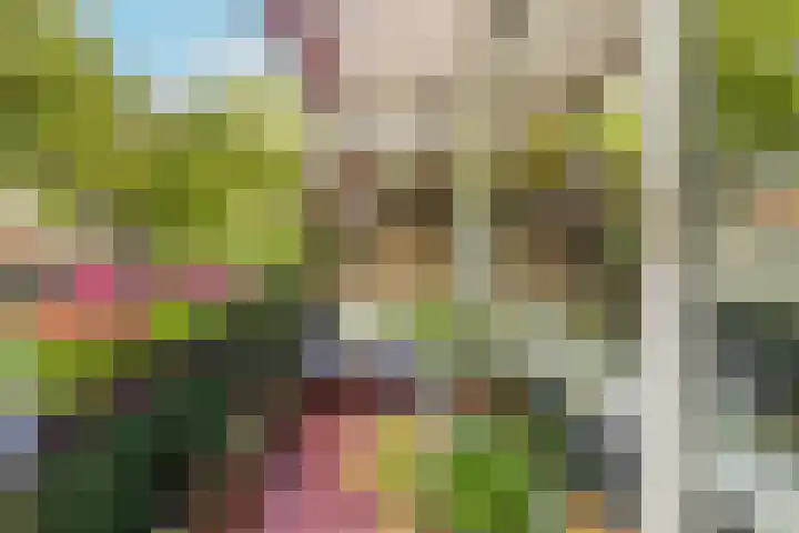 Stationsweg 92 113 Ede thumbnail 26