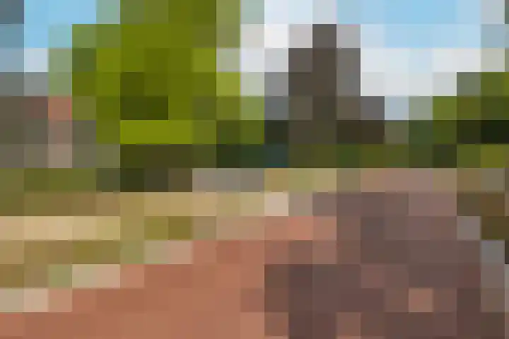 Stationsweg 92 113 Ede thumbnail 30