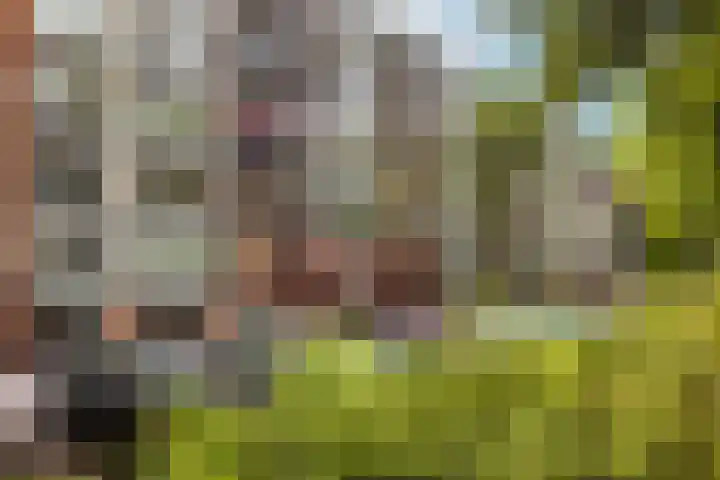 Stationsweg 92 113 Ede thumbnail 33