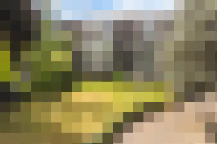 Stationsweg 92 205 Ede thumbnail 27
