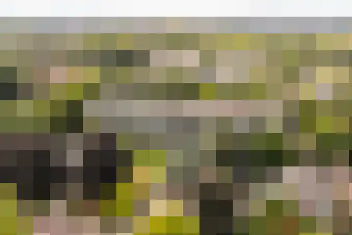 Stationsweg 92 205 Ede thumbnail 28