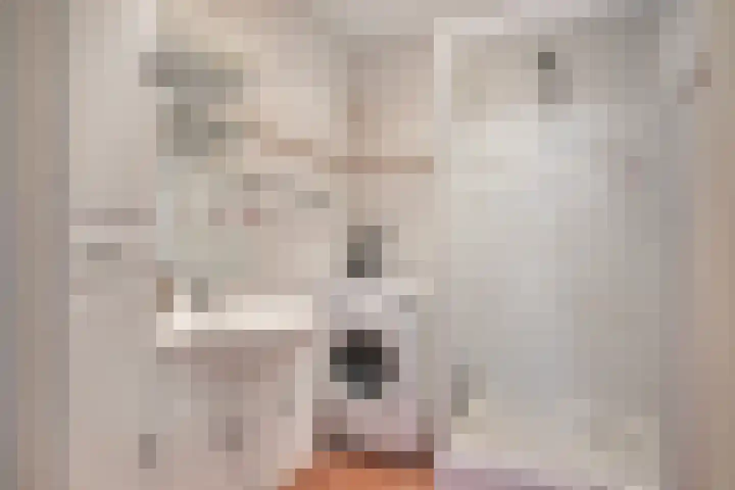 Stationsweg 92 311 Ede thumbnail 12