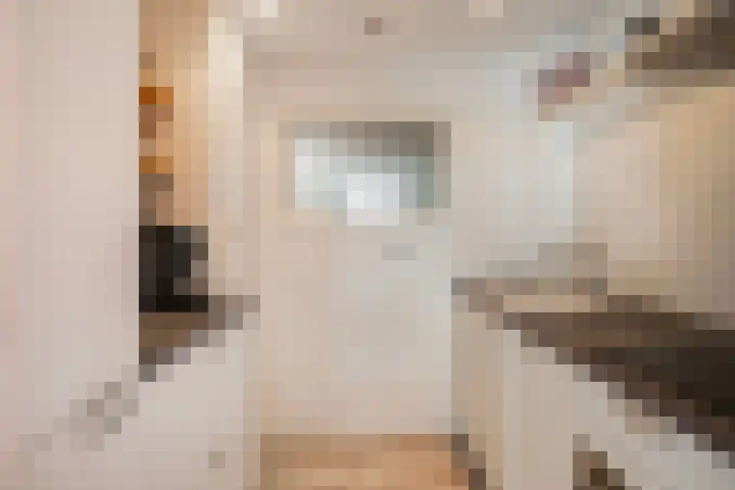 Stationsweg 92 311 Ede thumbnail 8