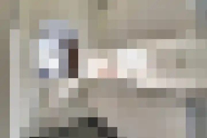 Stationsweg 92 402 Ede thumbnail 15
