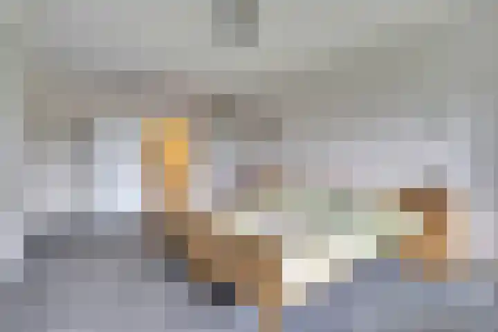Stationsweg 92 402 Ede thumbnail 18