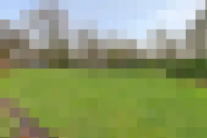 Stationsweg 92 402 Ede thumbnail 7