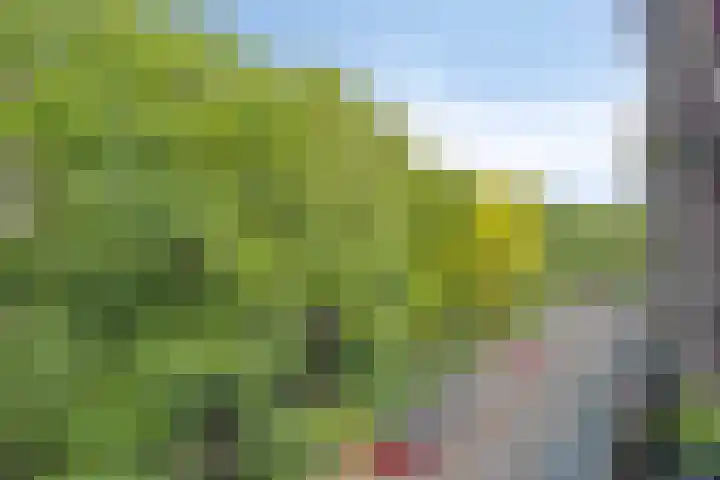 Stationsweg 92 408 Ede thumbnail 19