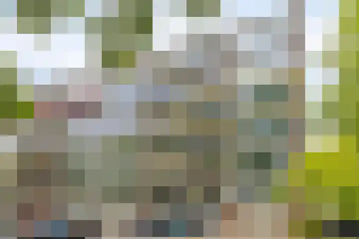 Stationsweg 92 408 Ede thumbnail 24