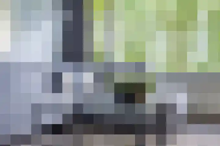 Stationsweg 92 408 Ede thumbnail 5