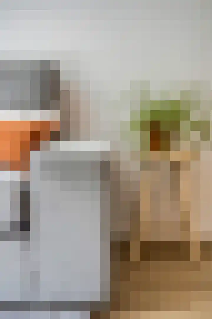 Stationsweg 92 410A Ede thumbnail 11