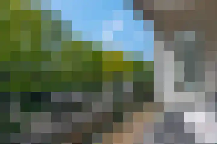 Stationsweg 92 410A Ede thumbnail 31
