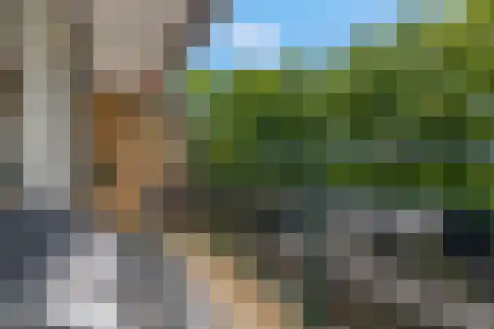 Stationsweg 92 410A Ede thumbnail 32