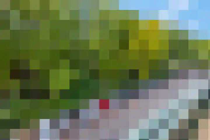 Stationsweg 92 410A Ede thumbnail 34