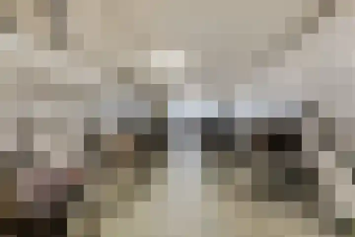 Stationsweg 92 410A Ede thumbnail 40