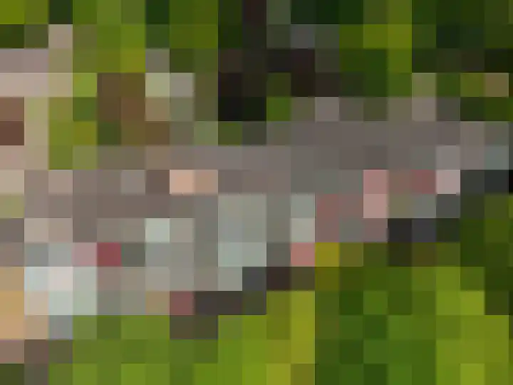 Stationsweg 92 410A Ede thumbnail 47