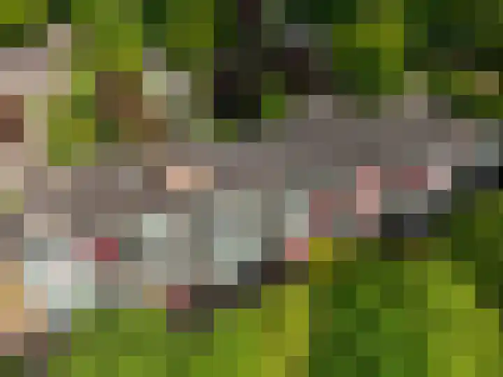 Stationsweg 92 410A Ede thumbnail 49