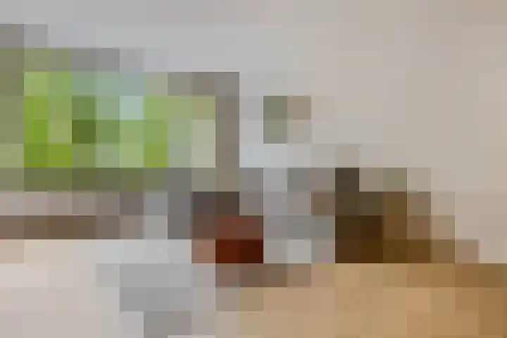 Stationsweg 92 410A Ede thumbnail 5