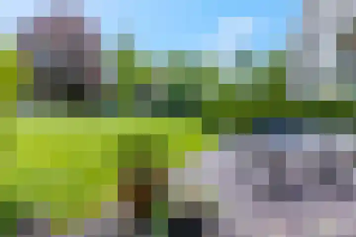Stationsweg 92 410A Ede thumbnail 52
