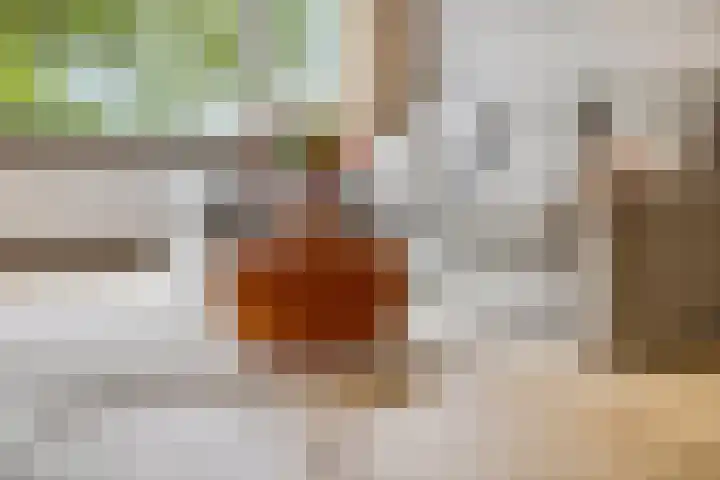Stationsweg 92 410A Ede thumbnail 7