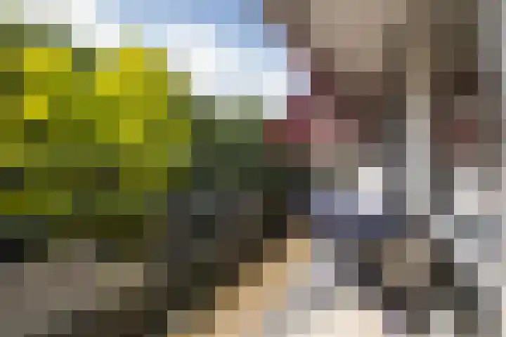 Stationsweg 92 411 Ede thumbnail 18