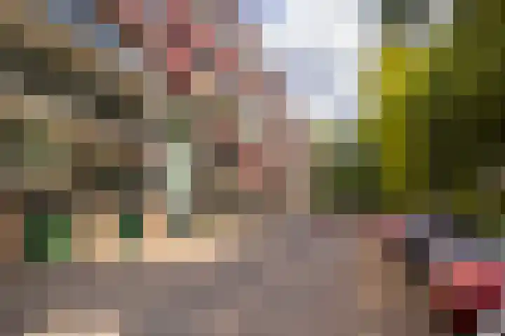 Stationsweg 92 411 Ede thumbnail 22