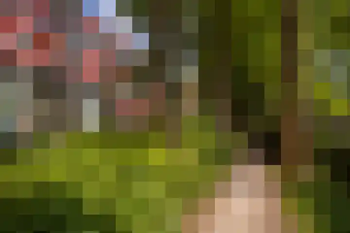 Stationsweg 92 411 Ede thumbnail 23