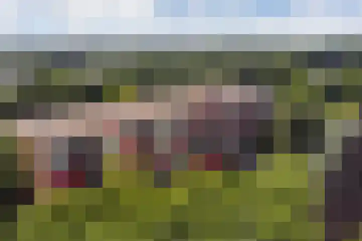 Stationsweg 92 411 Ede thumbnail 24