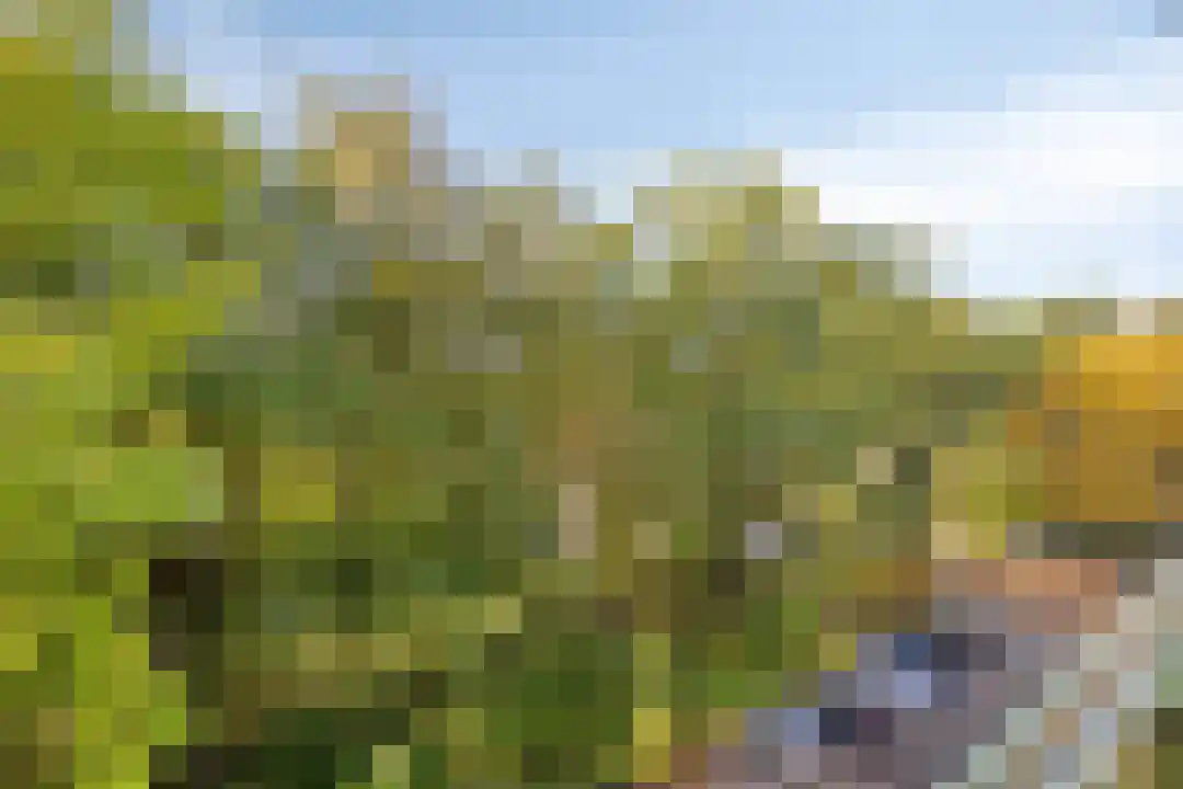 Stationsweg 92 413 Ede thumbnail 21