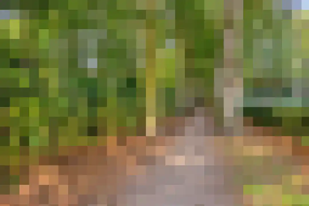 Stationsweg 92 413 Ede thumbnail 9