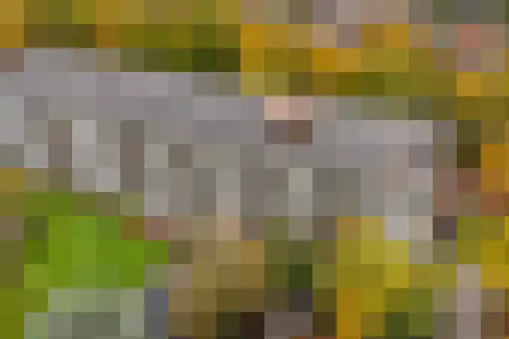 Stationsweg 92 416 Ede thumbnail 24