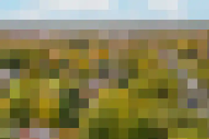 Stationsweg 92 416 Ede thumbnail 26