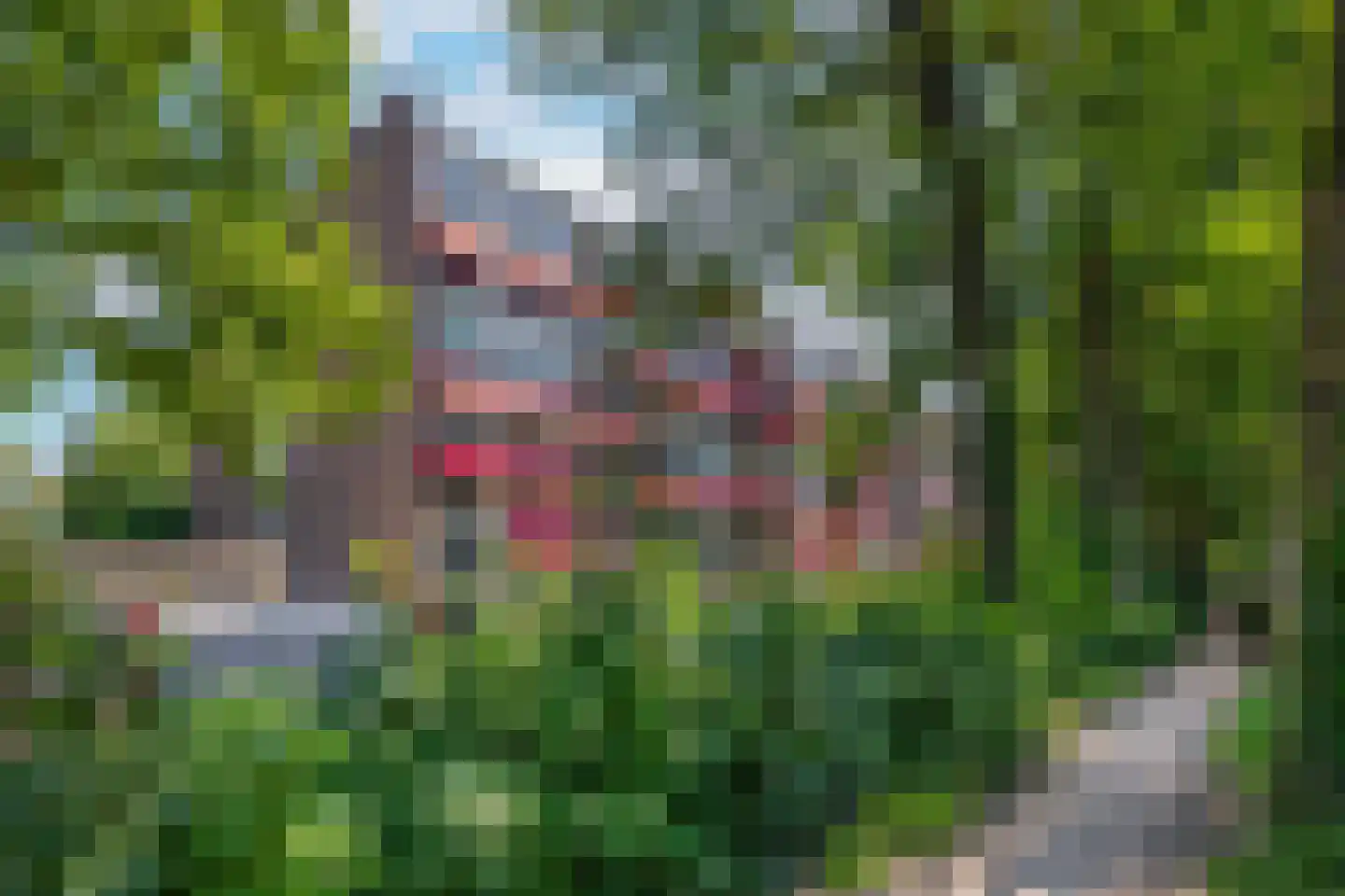 Stationsweg 92 515 Ede thumbnail 36
