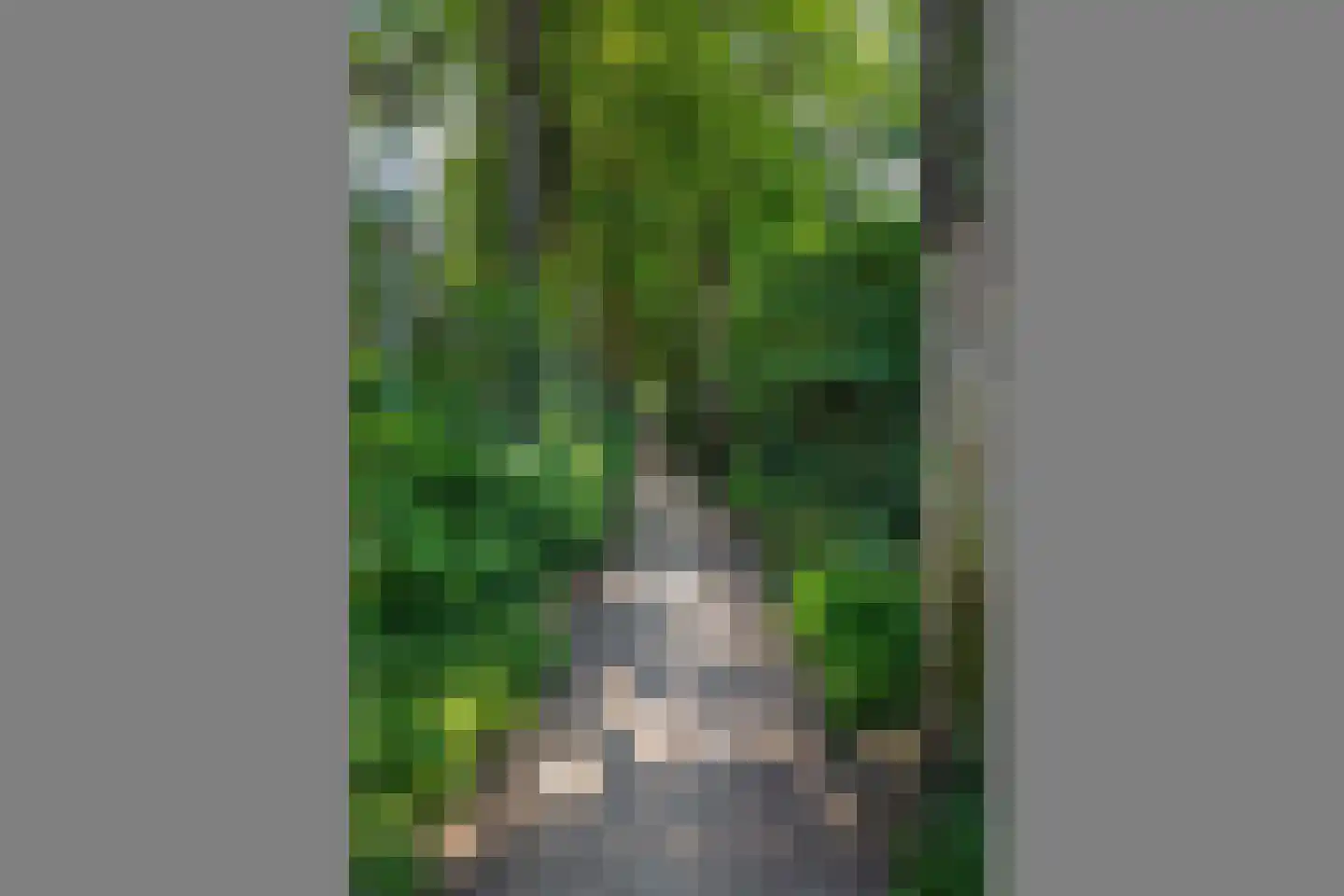 Stationsweg 92 515 Ede thumbnail 40