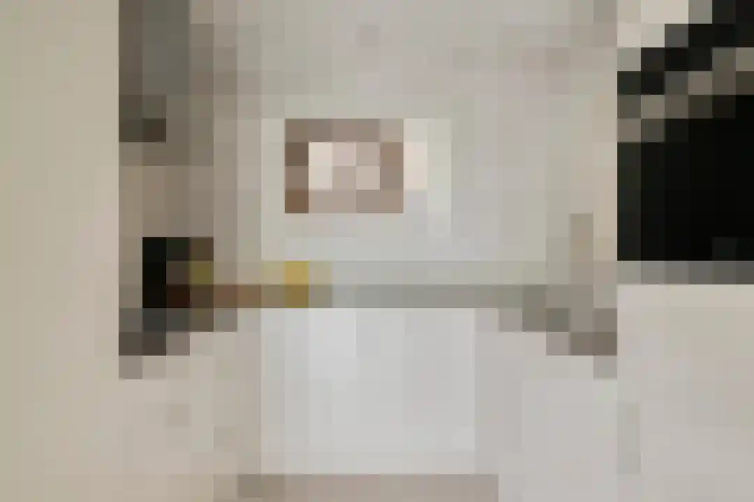 Stationsweg 92 516 Ede thumbnail 13