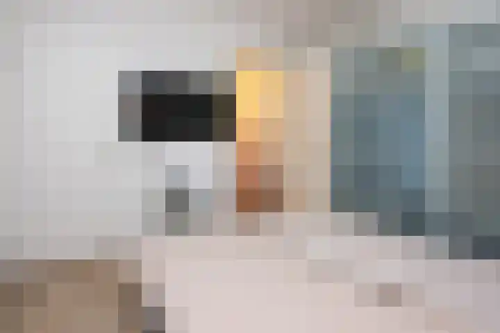 Stationsweg 92 519 Ede thumbnail 14