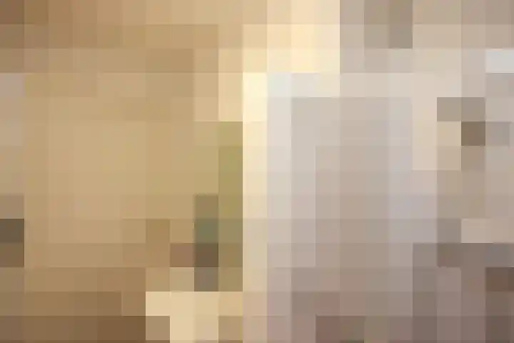 Stationsweg 92 519 Ede thumbnail 16