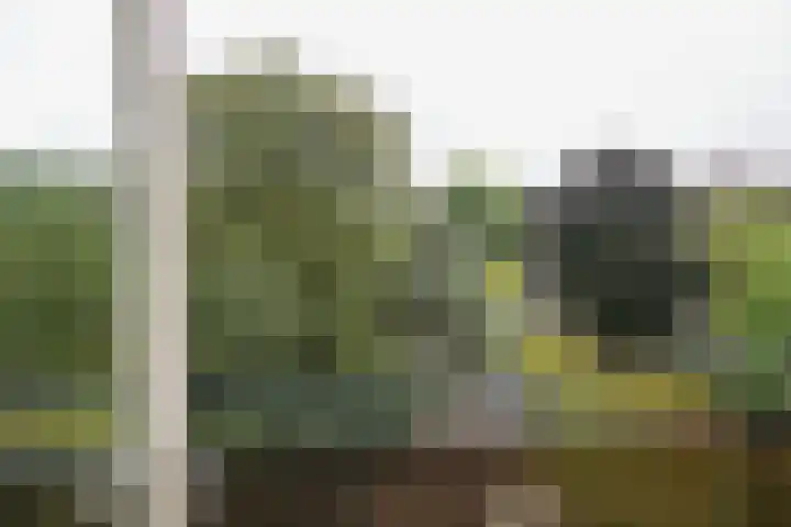 Stationsweg 92 519 Ede thumbnail 20