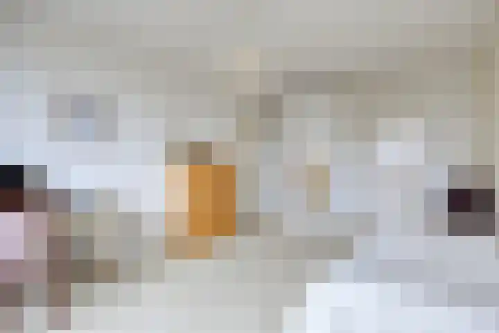 Stationsweg 92 607 Ede thumbnail 24