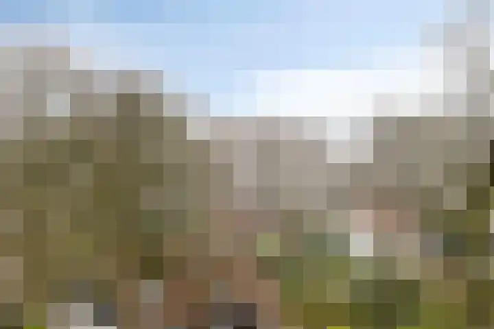 Stationsweg 92 607 Ede thumbnail 30