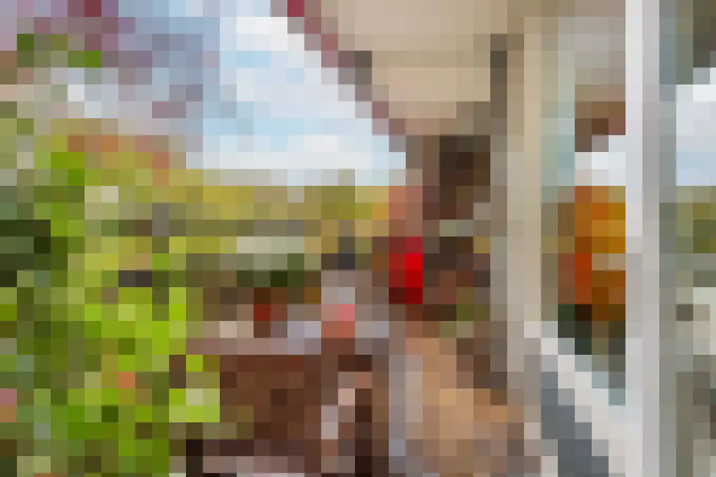 Stationsweg 92 614 Ede thumbnail 27