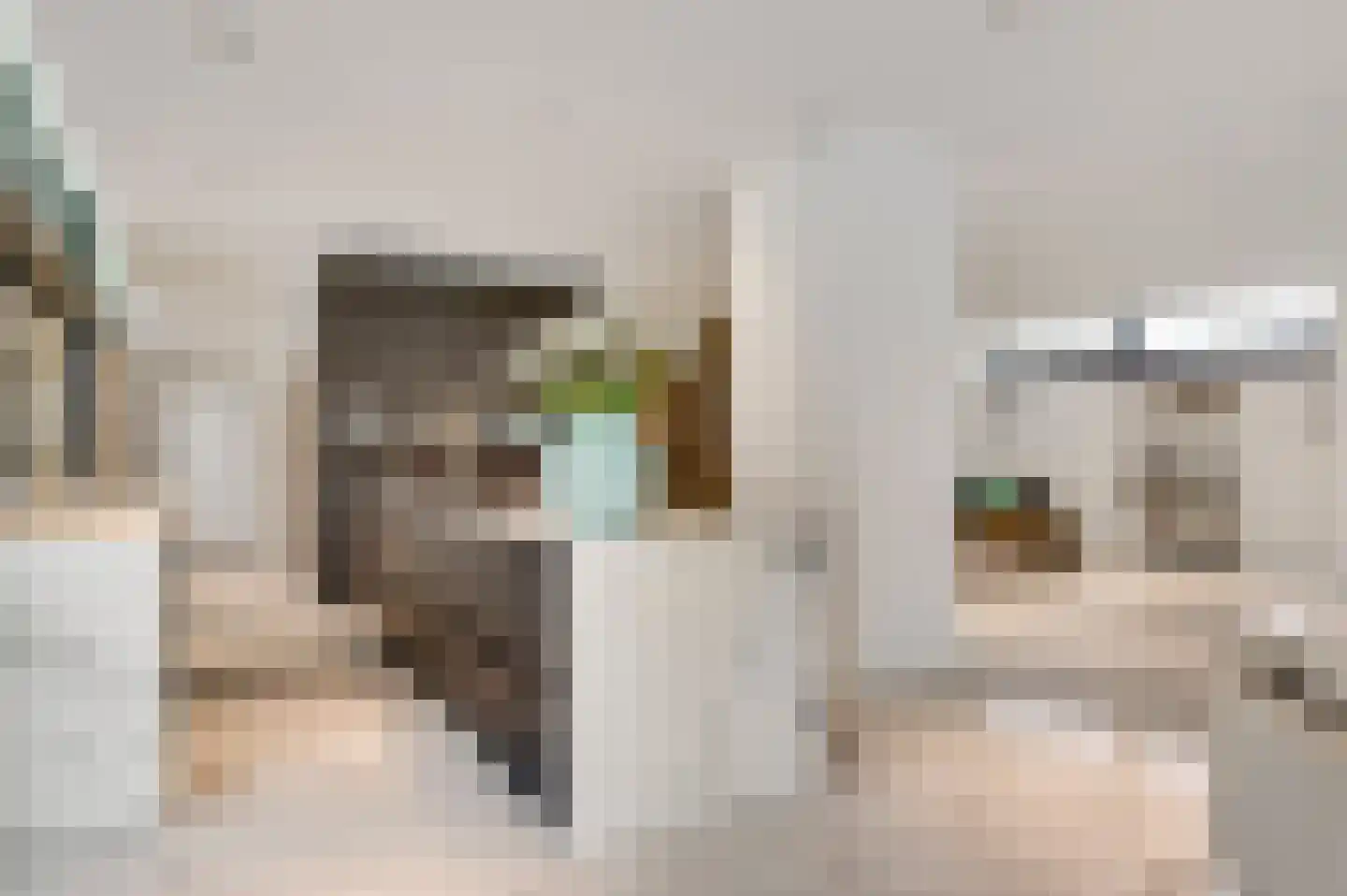 Stationsweg 92 Herkenbosch thumbnail 17
