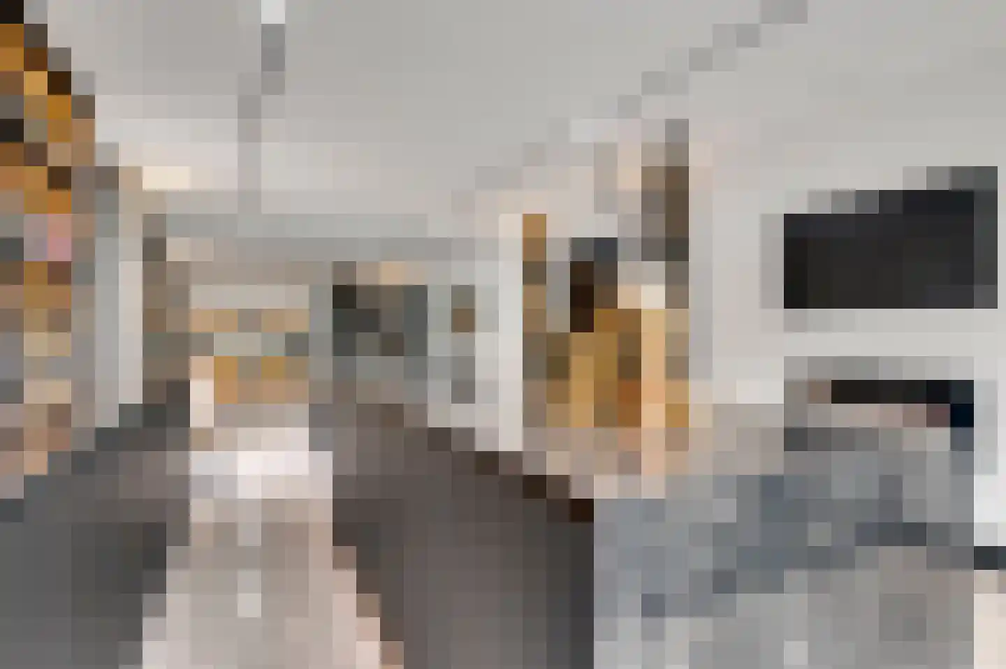 Stationsweg 92 Herkenbosch thumbnail 21