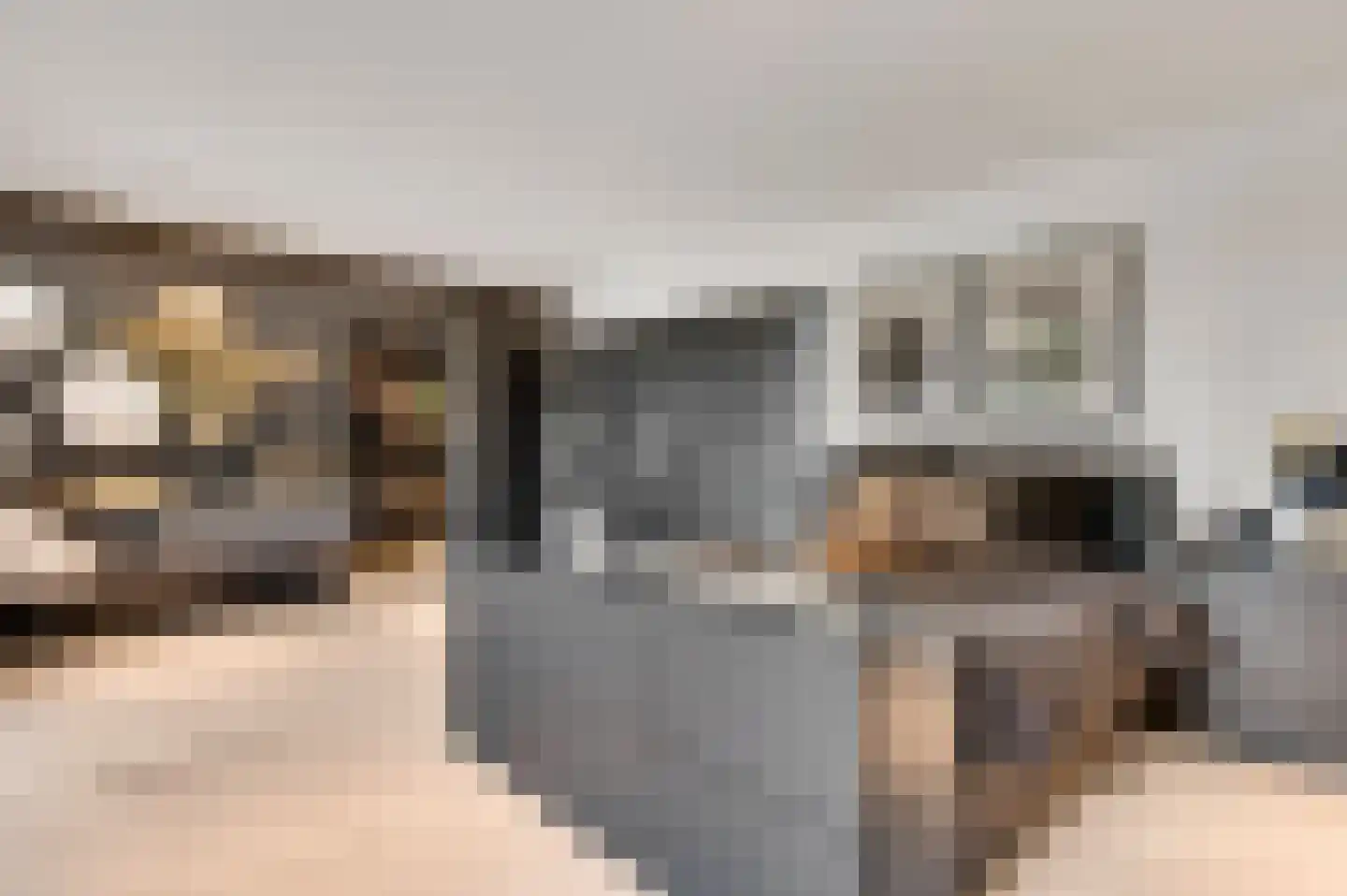 Stationsweg 92 Herkenbosch thumbnail 25