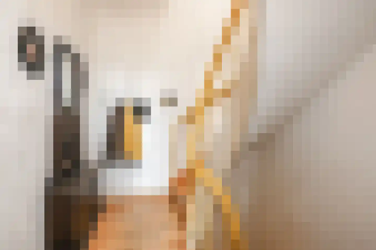 Stationsweg 94 Den Haag thumbnail 11