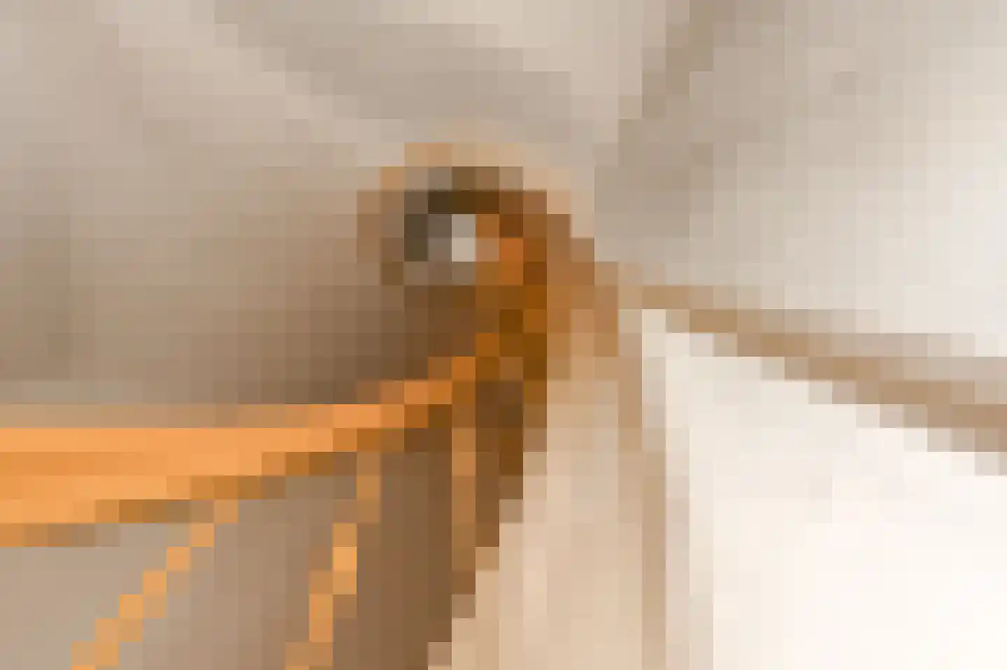 Stationsweg 94 Den Haag thumbnail 8